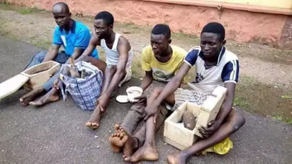 See How 4 Ritualists Where Arrested In Ogun With Human Heart [PHOTO]